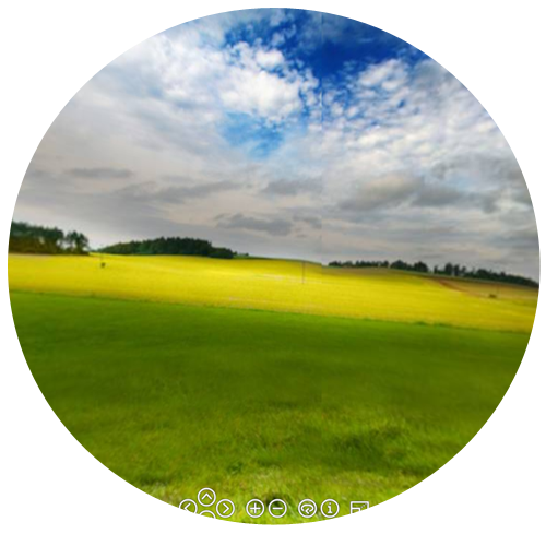Landschaft mit einer Kuh